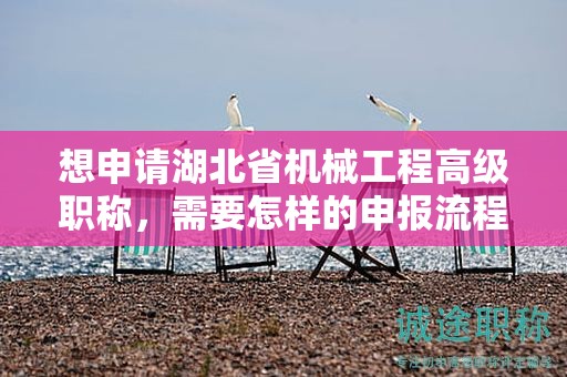 想申請湖北省機械工程高級職稱，需要怎樣的申報流程？