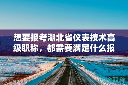 想要報(bào)考湖北省儀表技術(shù)高級(jí)職稱，都需要滿足什么報(bào)考條件和要求？