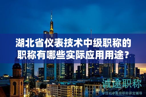 湖北省儀表技術中級職稱的職稱有哪些實際應用用途？