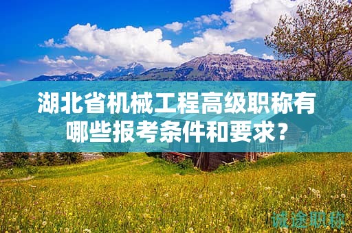 湖北省機(jī)械工程高級(jí)職稱有哪些報(bào)考條件和要求？