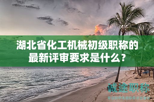 湖北省化工機(jī)械初級(jí)職稱的最新評(píng)審要求是什么？