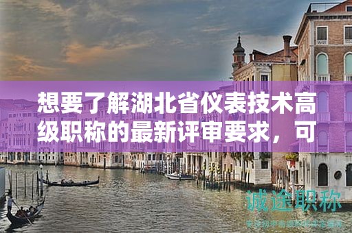 想要了解湖北省儀表技術(shù)高級(jí)職稱的最新評(píng)審要求，可以查閱哪些信息？