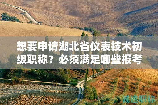 想要申請(qǐng)湖北省儀表技術(shù)初級(jí)職稱？必須滿足哪些報(bào)考條件？