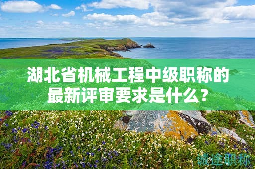 湖北省機械工程中級職稱的最新評審要求是什么？