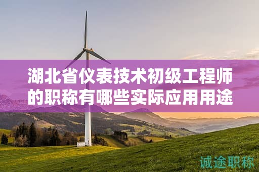 湖北省儀表技術(shù)初級(jí)工程師的職稱有哪些實(shí)際應(yīng)用用途？