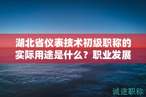 湖北省儀表技術初級職稱的實際用途是什么？職業(yè)發(fā)展價值大嗎？