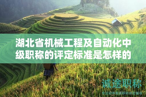 湖北省機械工程及自動化中級職稱的評定標準是怎樣的？
