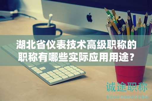 湖北省儀表技術(shù)高級(jí)職稱(chēng)的職稱(chēng)有哪些實(shí)際應(yīng)用用途？