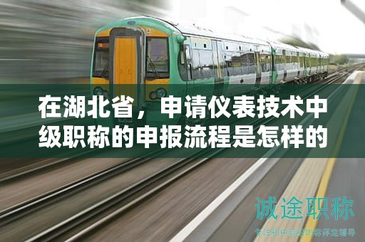 在湖北省，申請(qǐng)儀表技術(shù)中級(jí)職稱的申報(bào)流程是怎樣的？