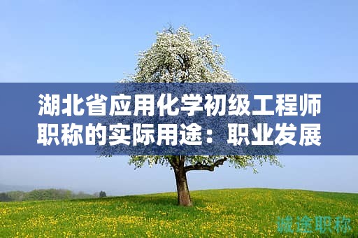湖北省應(yīng)用化學(xué)初級(jí)工程師職稱的實(shí)際用途：職業(yè)發(fā)展中的意義何在？