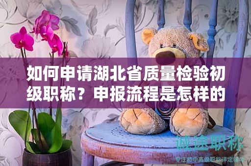 如何申請湖北省質(zhì)量檢驗初級職稱？申報流程是怎樣的？