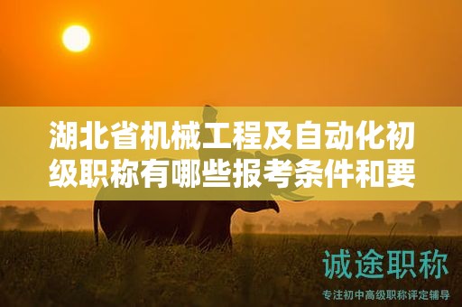 湖北省機(jī)械工程及自動(dòng)化初級(jí)職稱有哪些報(bào)考條件和要求？