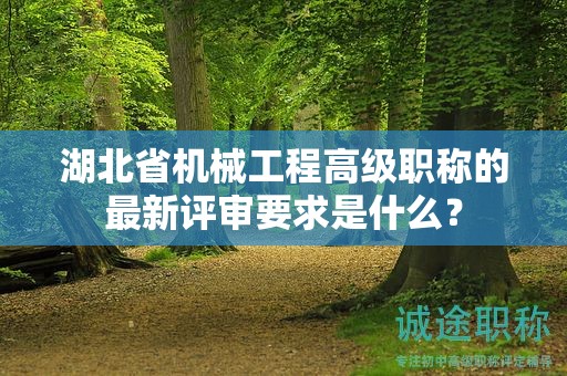 湖北省機械工程高級職稱的最新評審要求是什么？