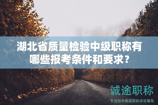湖北省質(zhì)量檢驗(yàn)中級(jí)職稱有哪些報(bào)考條件和要求？
