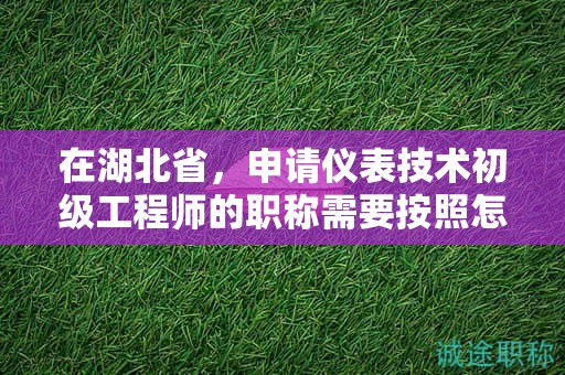 在湖北省，申請儀表技術(shù)初級工程師的職稱需要按照怎樣的申報流程進行？