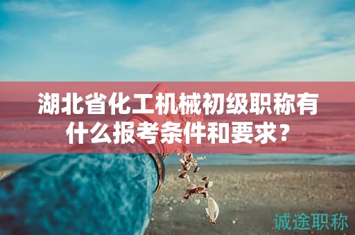 湖北省化工機械初級職稱有什么報考條件和要求？