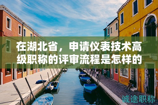 在湖北省，申請儀表技術(shù)高級職稱的評審流程是怎樣的？