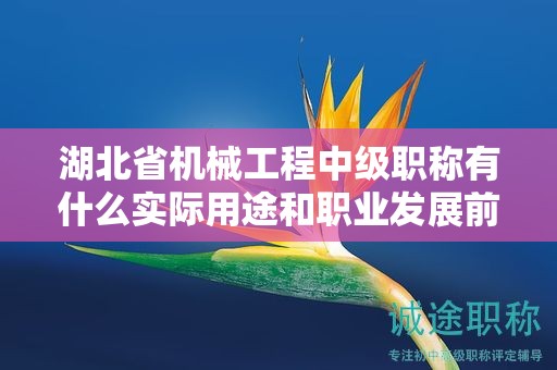 湖北省機(jī)械工程中級(jí)職稱有什么實(shí)際用途和職業(yè)發(fā)展前景？