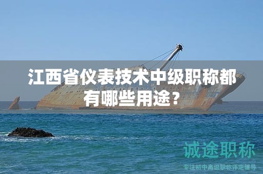 江西省儀表技術(shù)中級(jí)職稱都有哪些用途？