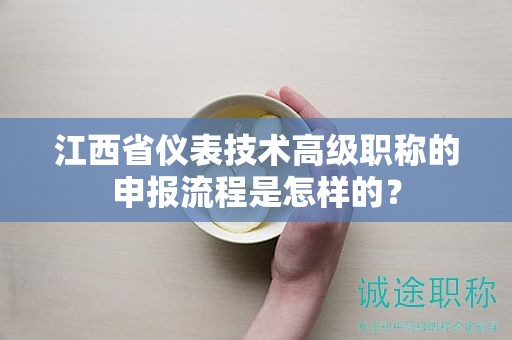 江西省儀表技術(shù)高級職稱的申報流程是怎樣的？