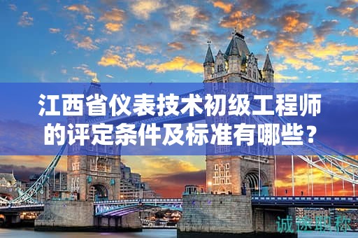 江西省儀表技術初級工程師的評定條件及標準有哪些？