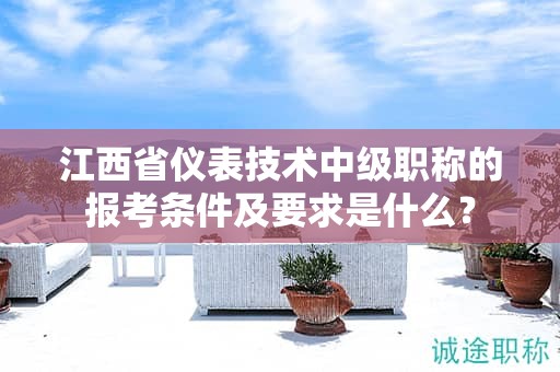江西省儀表技術(shù)中級(jí)職稱的報(bào)考條件及要求是什么？