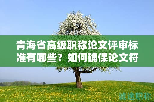 青海省高級職稱論文評審標(biāo)準(zhǔn)有哪些？如何確保論文符合要求？