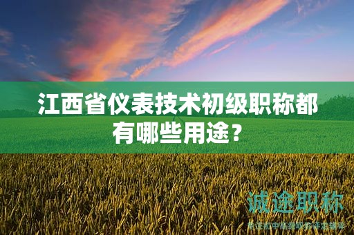 江西省儀表技術(shù)初級(jí)職稱(chēng)都有哪些用途？