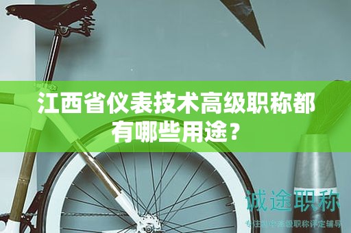 江西省儀表技術(shù)高級(jí)職稱(chēng)都有哪些用途？