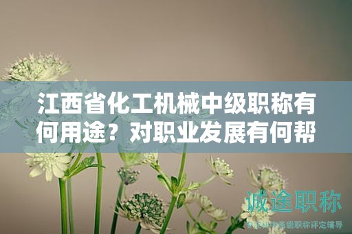 江西省化工機械中級職稱有何用途？對職業(yè)發(fā)展有何幫助？