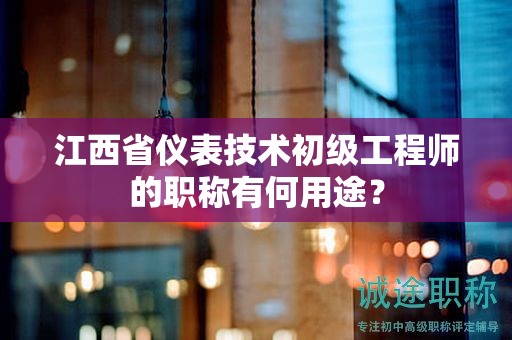 江西省儀表技術(shù)初級工程師的職稱有何用途？