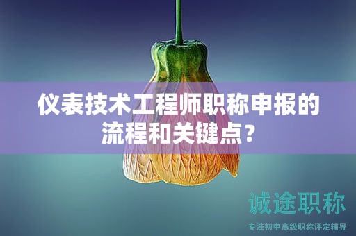 儀表技術(shù)工程師職稱(chēng)申報(bào)的流程和關(guān)鍵點(diǎn)？