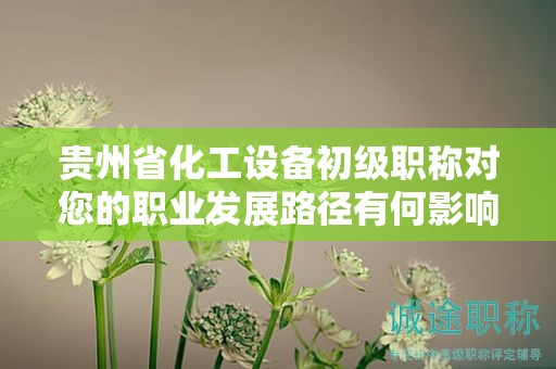 貴州省化工設(shè)備初級(jí)職稱對(duì)您的職業(yè)發(fā)展路徑有何影響？