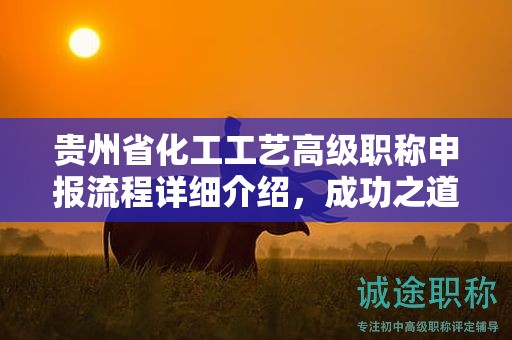 貴州省化工工藝高級職稱申報流程詳細介紹，成功之道