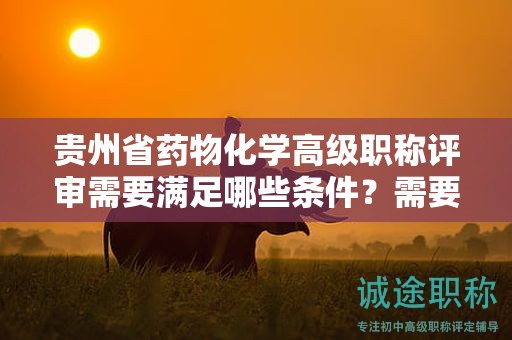 貴州省藥物化學(xué)高級職稱評審需要滿足哪些條件？需要準備哪些材料？