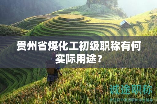 貴州省煤化工初級職稱有何實際用途？
