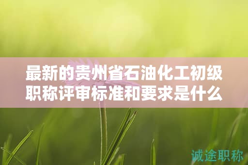 最新的貴州省石油化工初級職稱評審標準和要求是什么？有哪些變化？