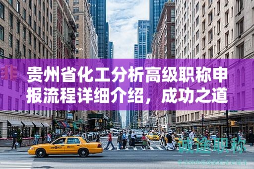 貴州省化工分析高級(jí)職稱申報(bào)流程詳細(xì)介紹，成功之道