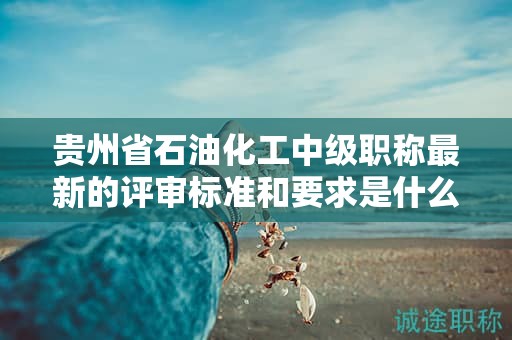 貴州省石油化工中級職稱最新的評審標(biāo)準(zhǔn)和要求是什么？有哪些變化？