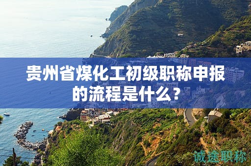 貴州省煤化工初級職稱申報的流程是什么？