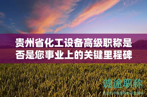 貴州省化工設(shè)備高級職稱是否是您事業(yè)上的關(guān)鍵里程碑？