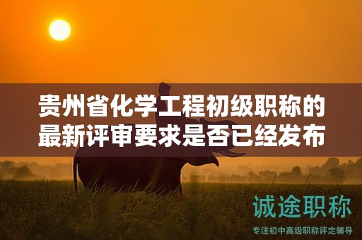 貴州省化學工程初級職稱的最新評審要求是否已經(jīng)發(fā)布？