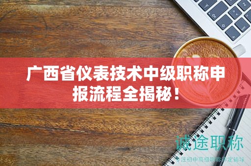 廣西省儀表技術(shù)中級(jí)職稱申報(bào)流程全揭秘！