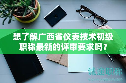 想了解廣西省儀表技術(shù)初級(jí)職稱最新的評(píng)審要求嗎？