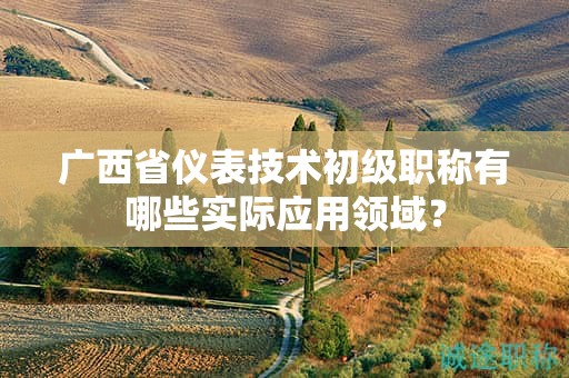 廣西省儀表技術(shù)初級職稱有哪些實(shí)際應(yīng)用領(lǐng)域？