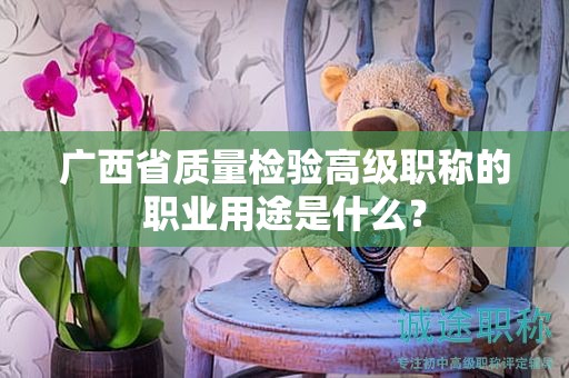 廣西省質(zhì)量檢驗高級職稱的職業(yè)用途是什么？