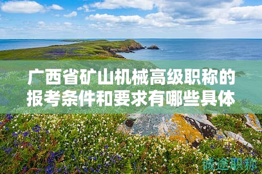 廣西省礦山機(jī)械高級(jí)職稱的報(bào)考條件和要求有哪些具體要素？如何滿足條件？