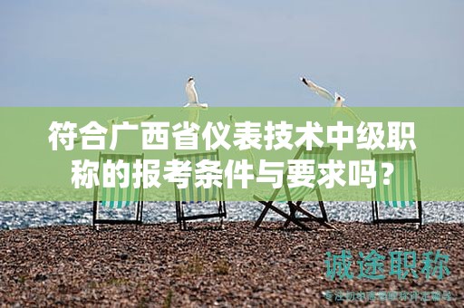 符合廣西省儀表技術(shù)中級(jí)職稱的報(bào)考條件與要求嗎？