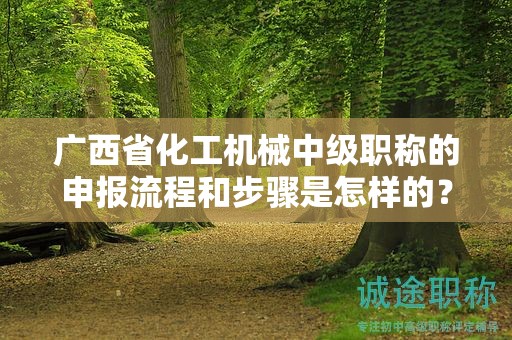 廣西省化工機械中級職稱的申報流程和步驟是怎樣的？需要注意哪些事項？
