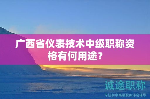 廣西省儀表技術(shù)中級職稱資格有何用途？